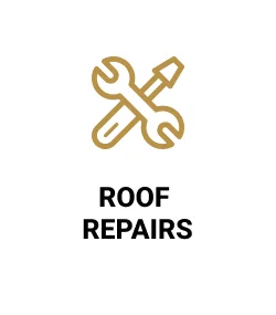 roof repairs Icon